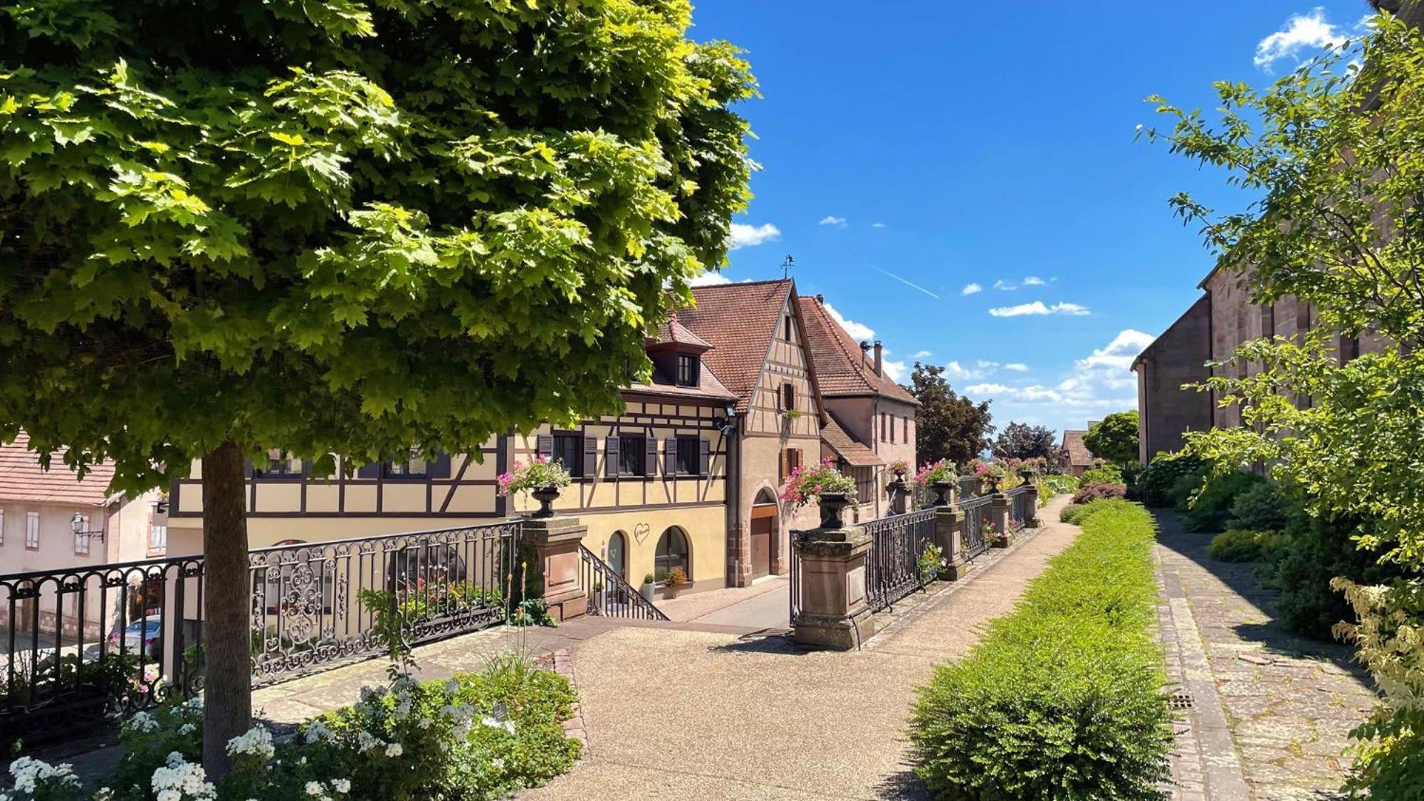 Appartements Duplex 3 Et 4 Personnes - Climatisation - Village Elu Parmi Les "Plus Beaux Villages De France" - Route Des Vins - Centre Alsace Bergheim Extérieur photo