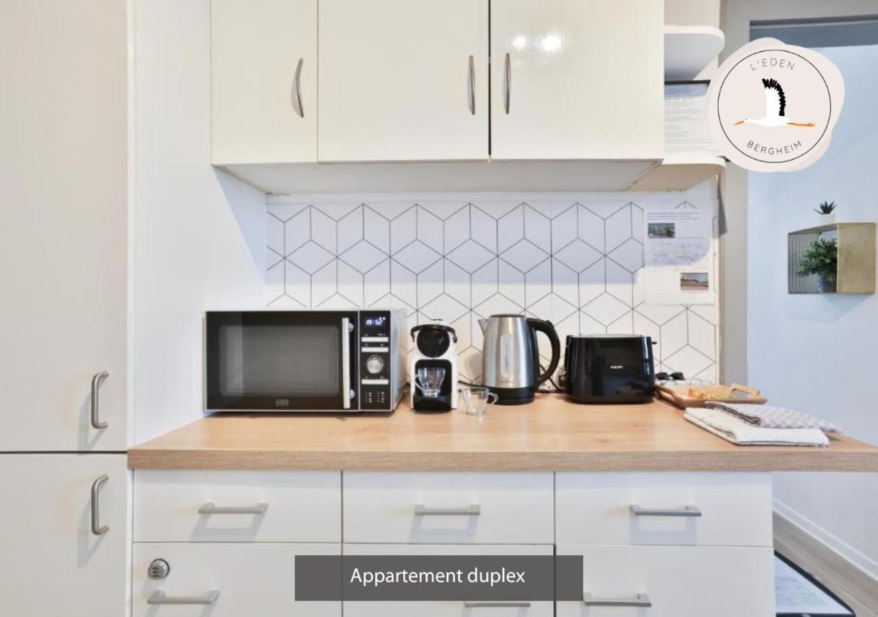 Appartements Duplex 3 Et 4 Personnes - Climatisation - Village Elu Parmi Les "Plus Beaux Villages De France" - Route Des Vins - Centre Alsace Bergheim Extérieur photo