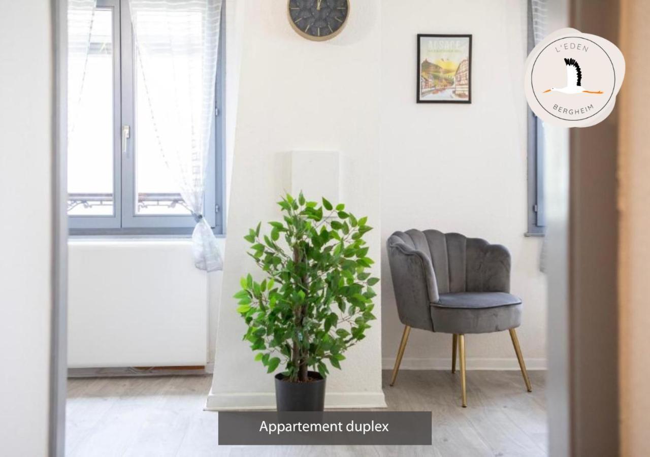 Appartements Duplex 3 Et 4 Personnes - Climatisation - Village Elu Parmi Les "Plus Beaux Villages De France" - Route Des Vins - Centre Alsace Bergheim Extérieur photo