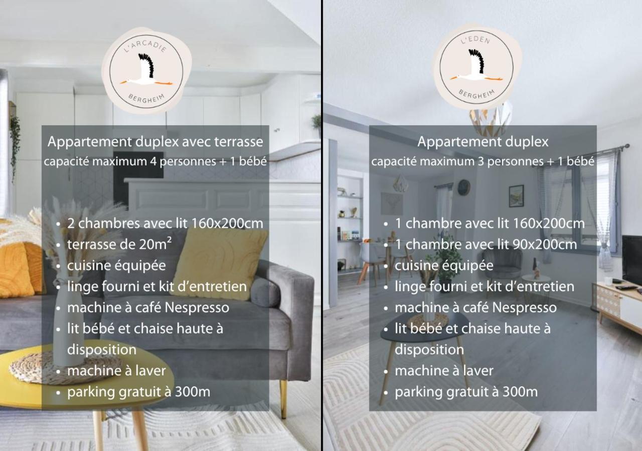 Appartements Duplex 3 Et 4 Personnes - Climatisation - Village Elu Parmi Les "Plus Beaux Villages De France" - Route Des Vins - Centre Alsace Bergheim Extérieur photo
